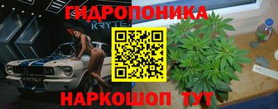 прущая мука Гай