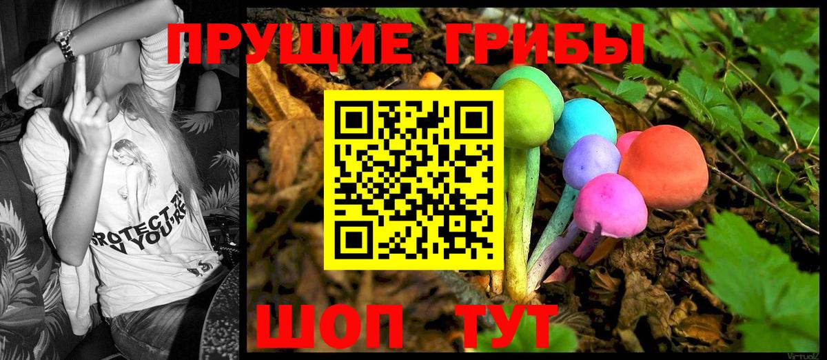 Псилоцибиновые грибы GOLDEN TEACHER Назарово