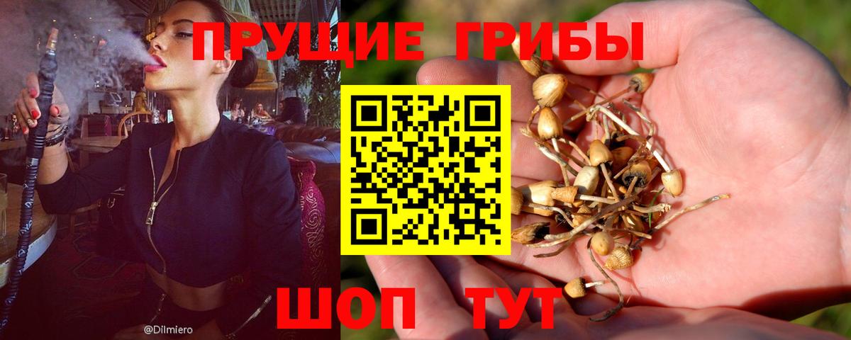 Псилоцибиновые грибы мухоморы  где купить наркоту  Назарово  Вход с VPN  Псилоцибиновые грибы GOLDEN TEACHER 